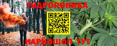 стаф Бугуруслан