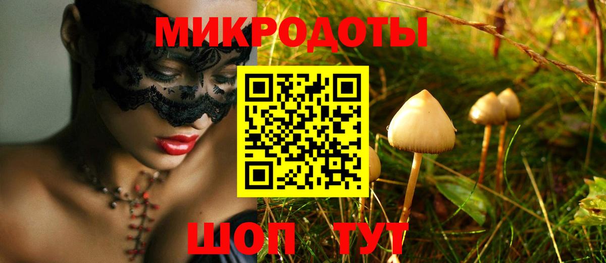 Алапаевск  Псилоцибиновые грибы мухоморы  Галлюциногенные грибы Psilocybe  купить наркотик  Вход с VPN 